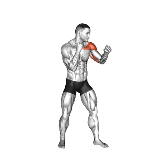 Boxing - How to Perform | Volm