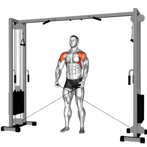 Single Arm Lateral Raise - How to Perform | Volm