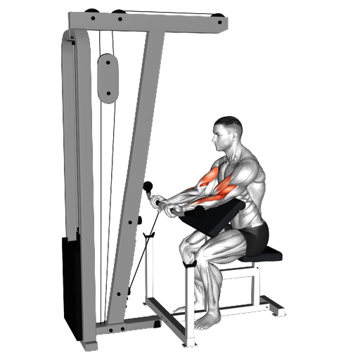 Overhead Cable Curl - How to Perform | Volm