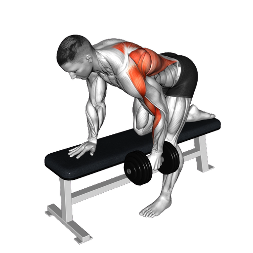 Dumbbell Incline Row - How to Perform | Volm