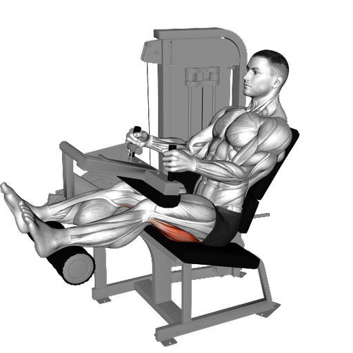 GZCL: General Gainz Program | Volm