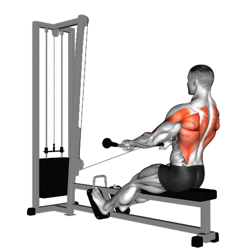 GZCL: General Gainz Program | Volm